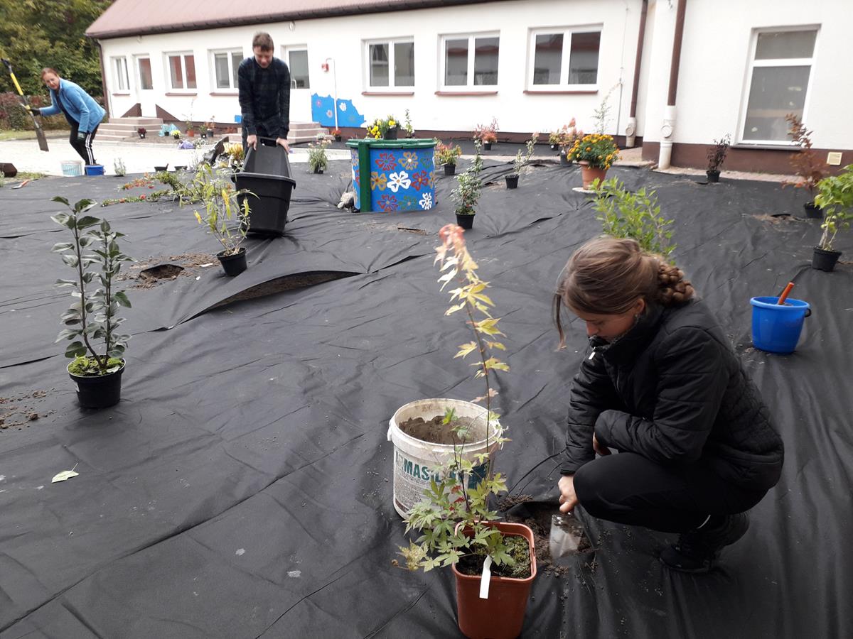 Teren przed szkołą pokryty agrowłókniną. Pomiędzy nią gdzieniegdzie wystają rośliny. Na pierwszym planie dziewczyna sadząca krzew.